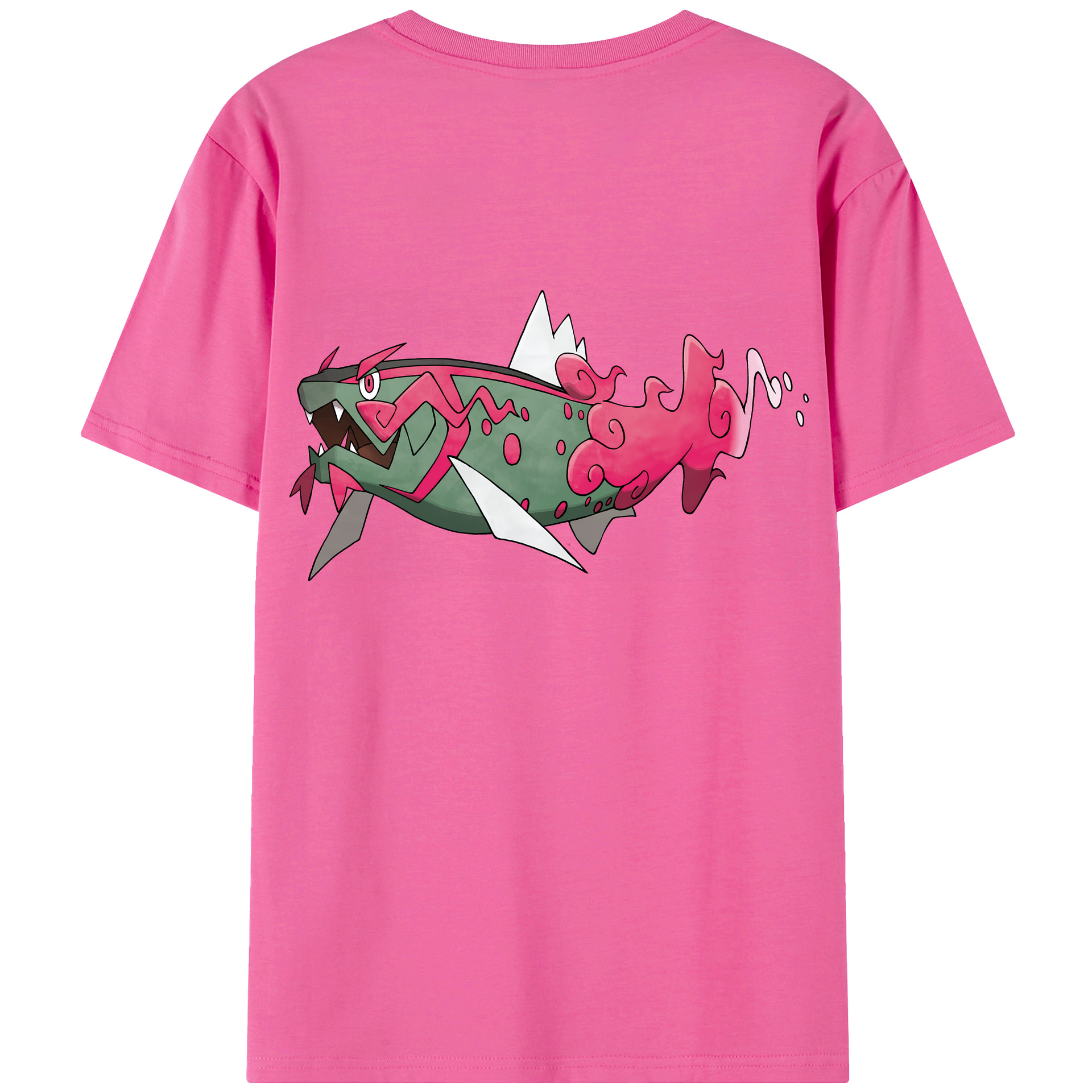 （画像用） ポケットモンスター Pokémon レディース半袖Tシャツ(バックプリント)